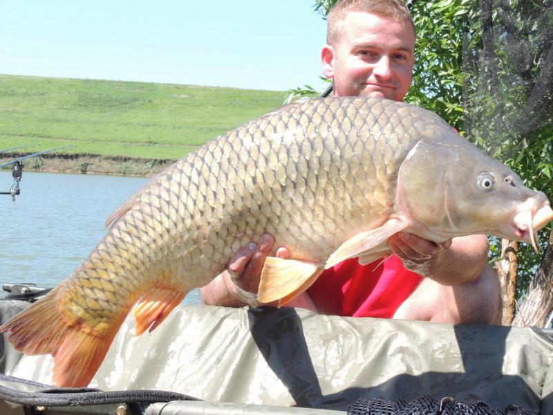 TROPHY CARP OF PRINTERS - pescuit-crap-snz-planet-sulimanu-captura-3.jpg